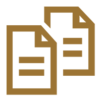 Carteiras de trabalho, carnês de contribuição e outros documentos que comprovem pagamento ao INSS;